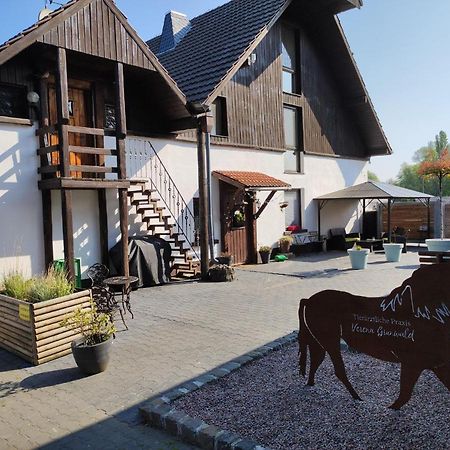 Ferienwohnung Versteeg Am Winkelschen Busch Kevelaer Zewnętrze zdjęcie